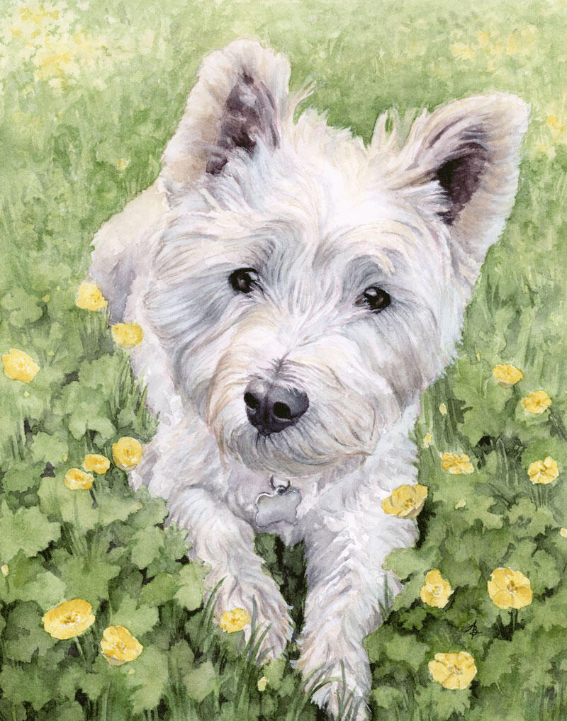 Stuart Stuart